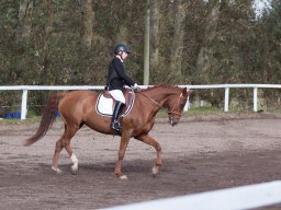 IMG_7847_web